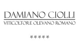 Ciolli Damiano